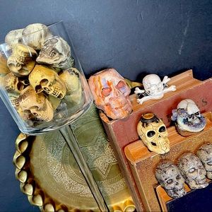 set of 23 random skulls